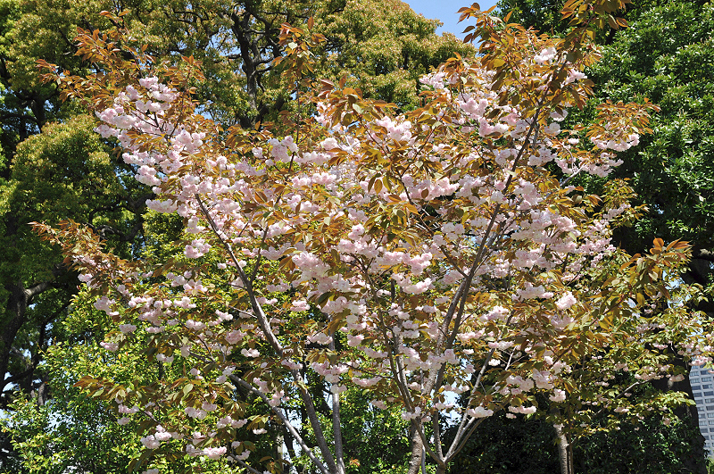 image0162