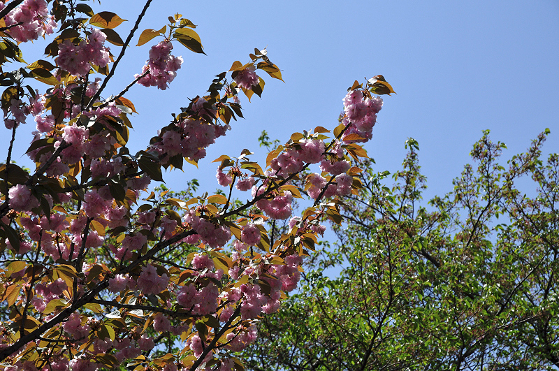 image0164