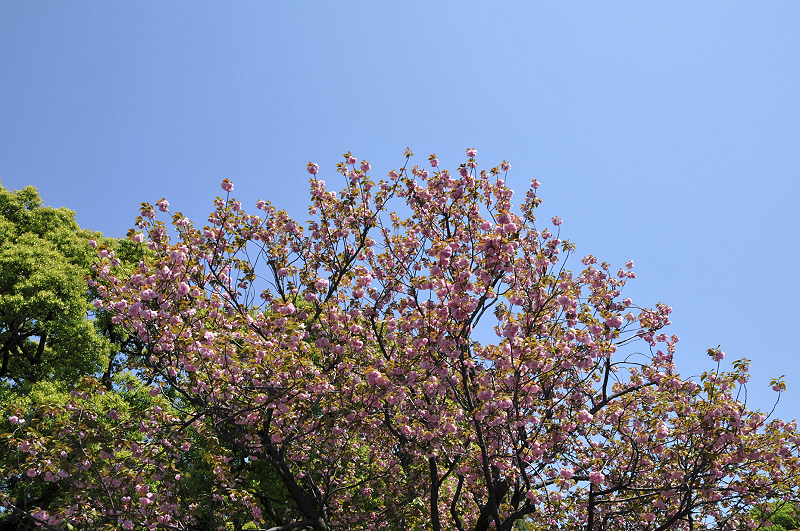 image0165
