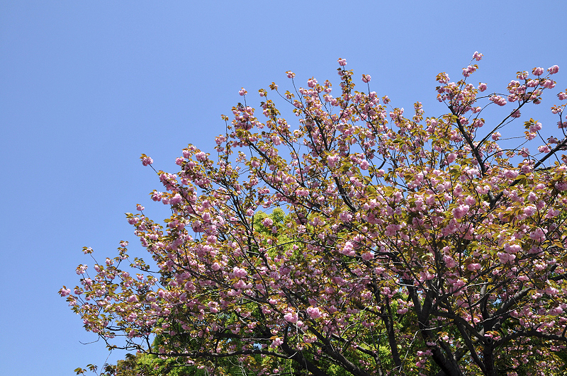 image0166