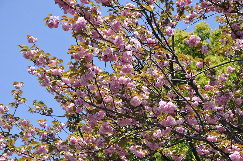image0167