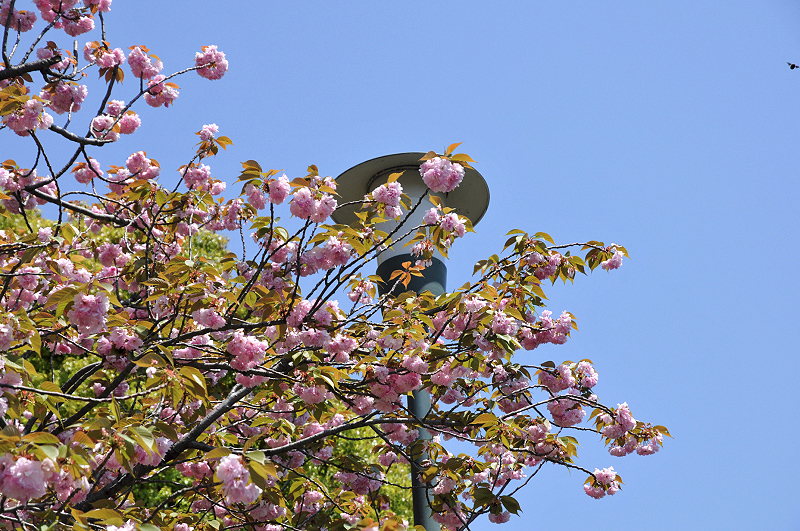 image0168