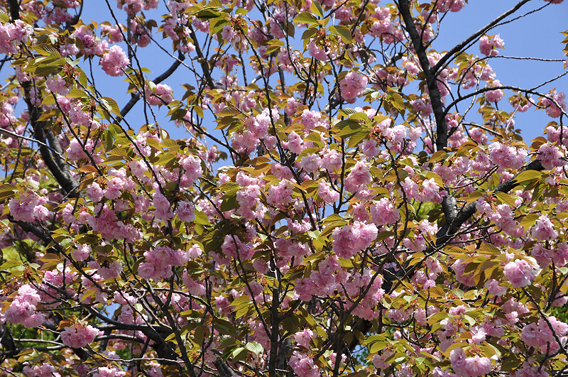 image0169
