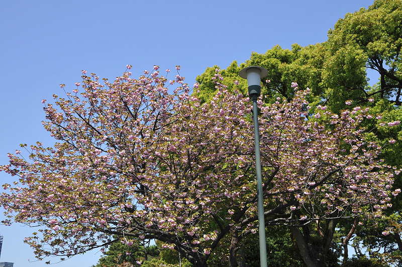 image0170