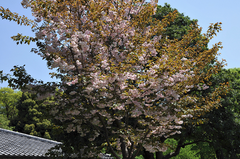 image0171