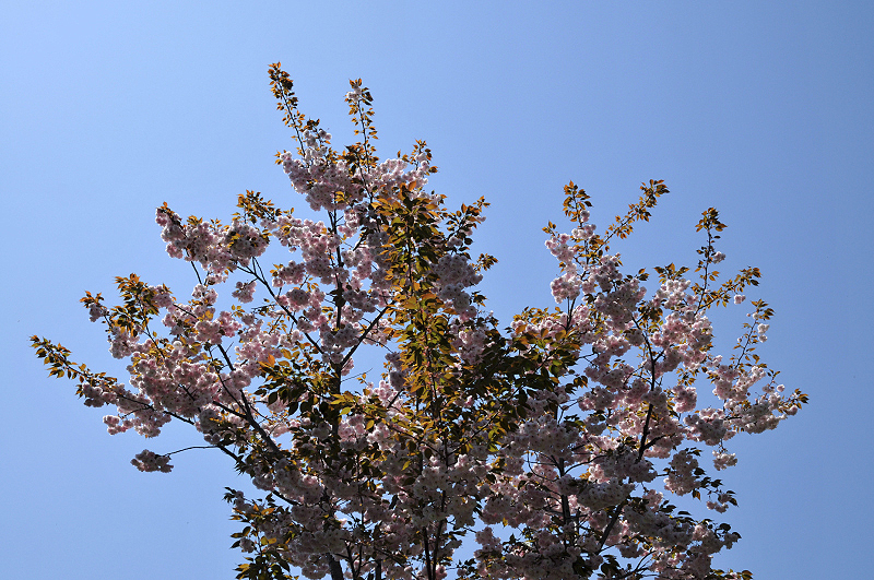 image0172