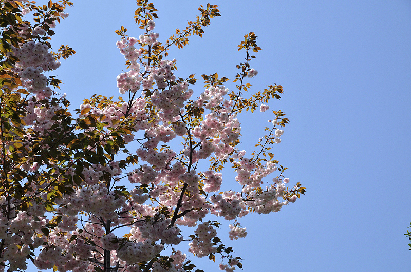 image0173