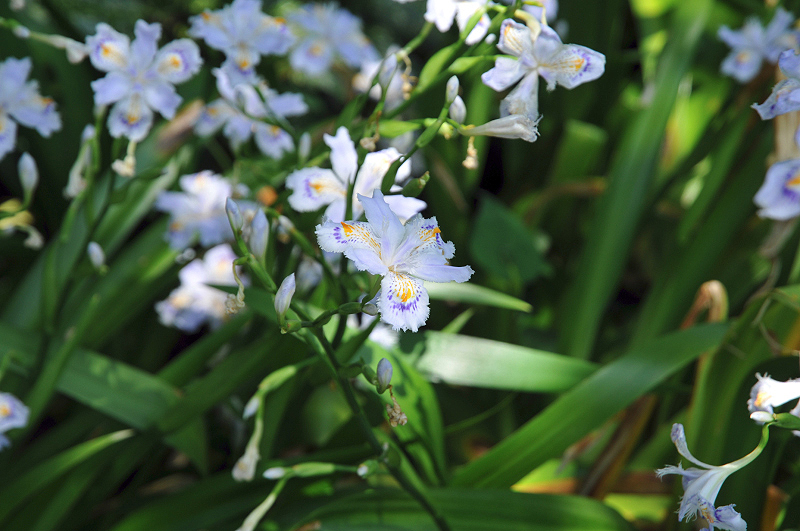 image0174