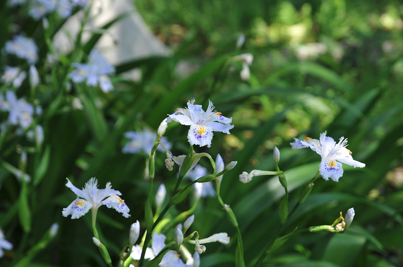 image0175