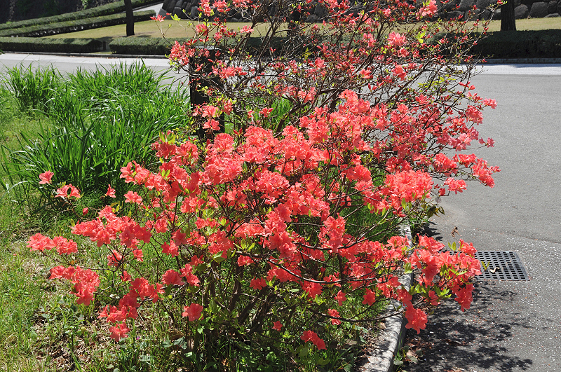 image0178