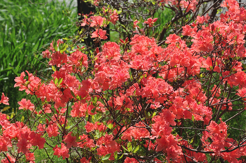 image0179