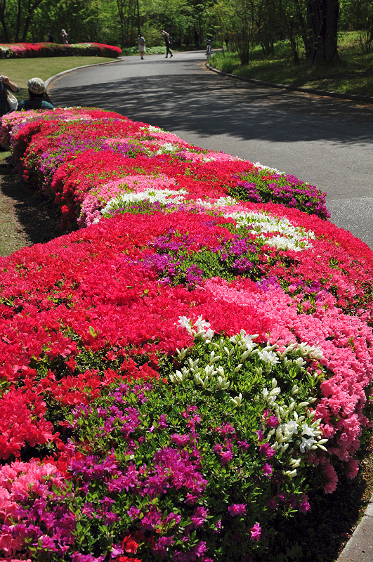 image0181