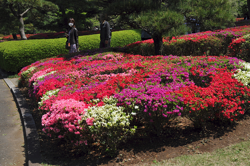 image0183