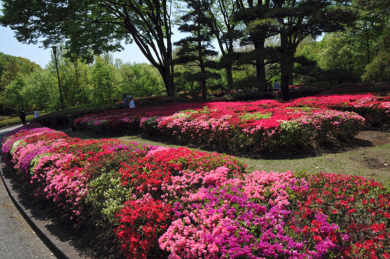 image0186