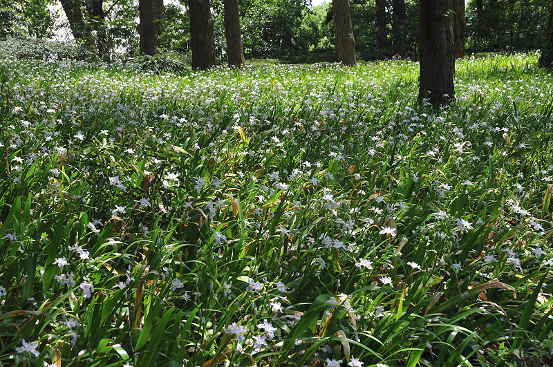 image0191