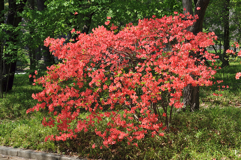 image0193