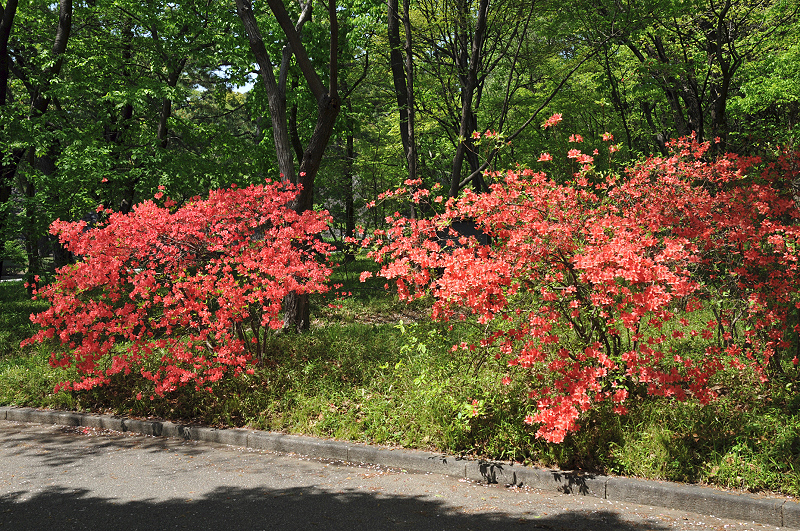 image0194