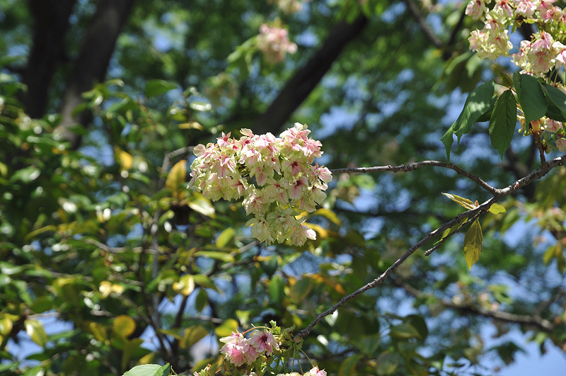 image0195