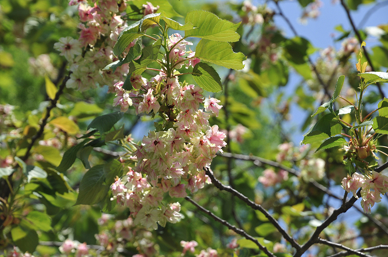 image0197