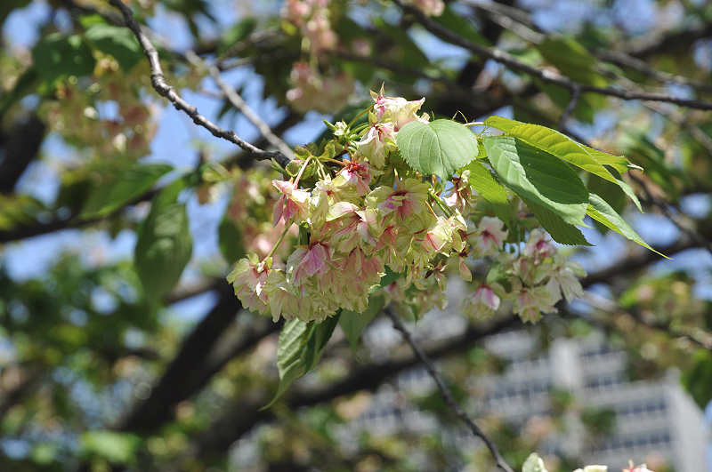 image0198