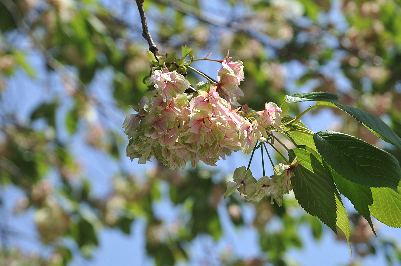 image0200