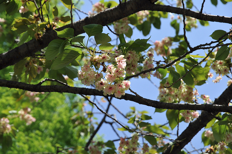 image0201