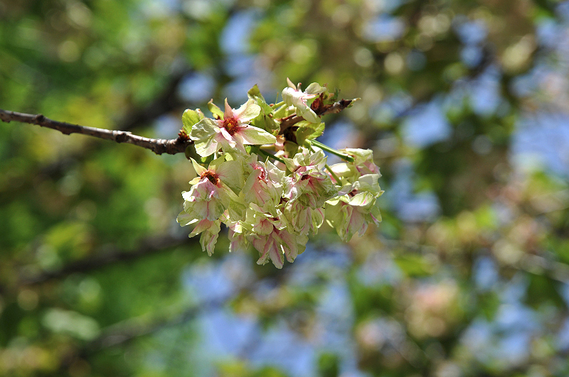 image0202