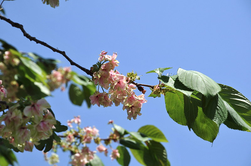 image0203