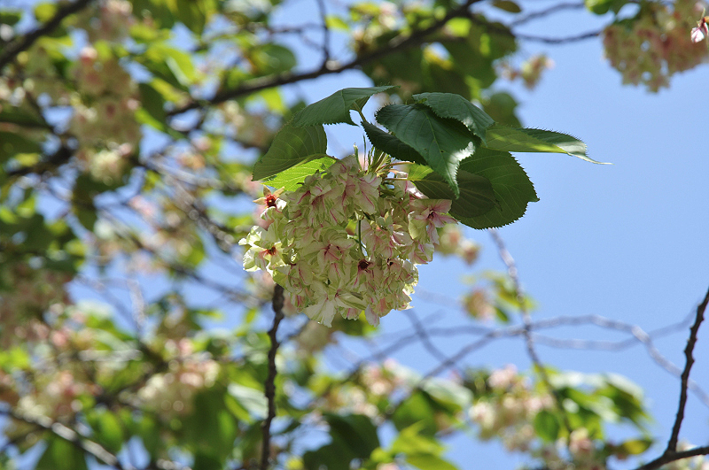 image0204
