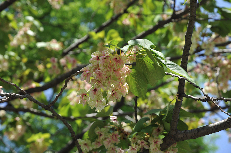 image0205