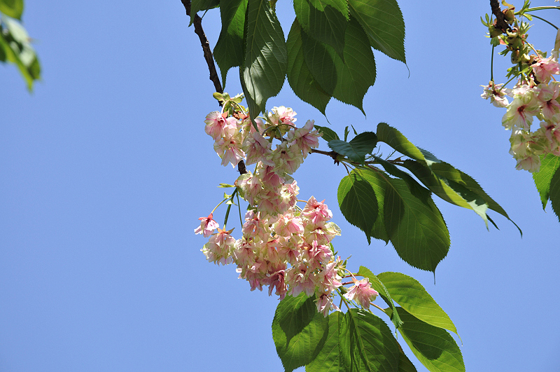 image0206