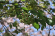 image0128