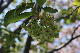 image0129