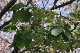 image0130
