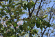 image0131
