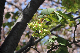 image0132