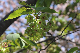 image0133