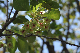 image0134