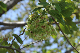 image0136