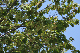 image0137