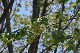 image0138