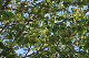 image0139