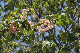 image0140