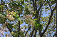 image0141