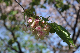 image0142