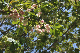 image0143