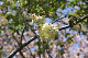 image0144