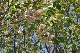 image0145