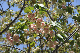 image0146