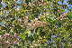 image0147